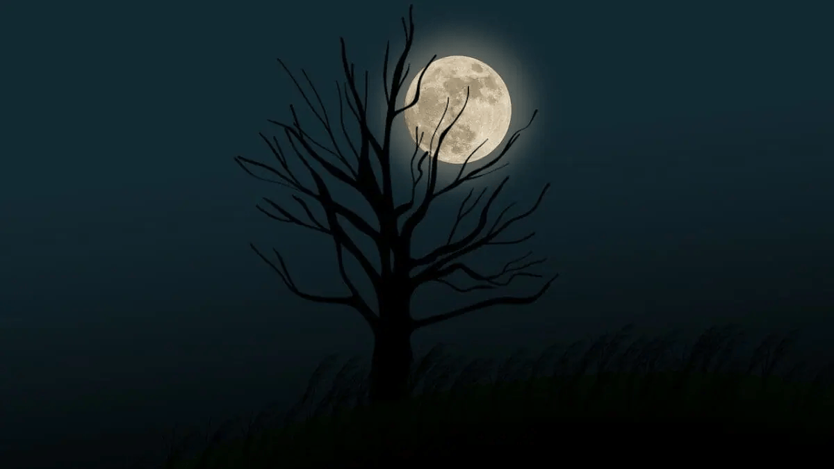 Qual a fase da Lua hoje? 31/05/2026