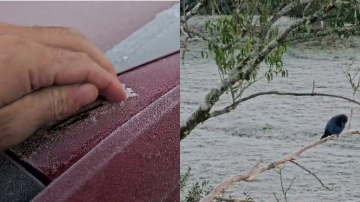 Reduto em SC com 100 geadas por ano marca -4,6°C e Estado tem no dia mais frio de 2026