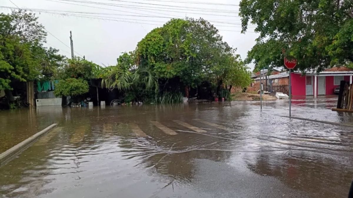 Rosario do Sul RS