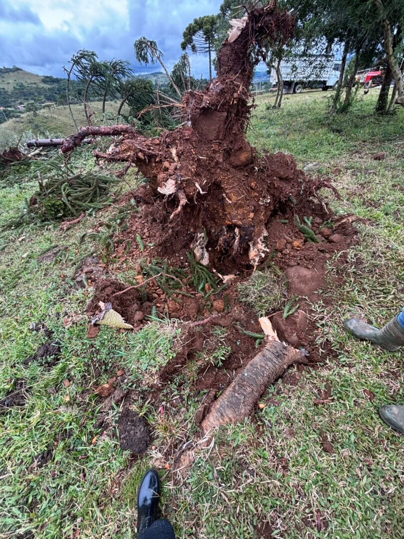 estragos em S&atilde;o Joaquim