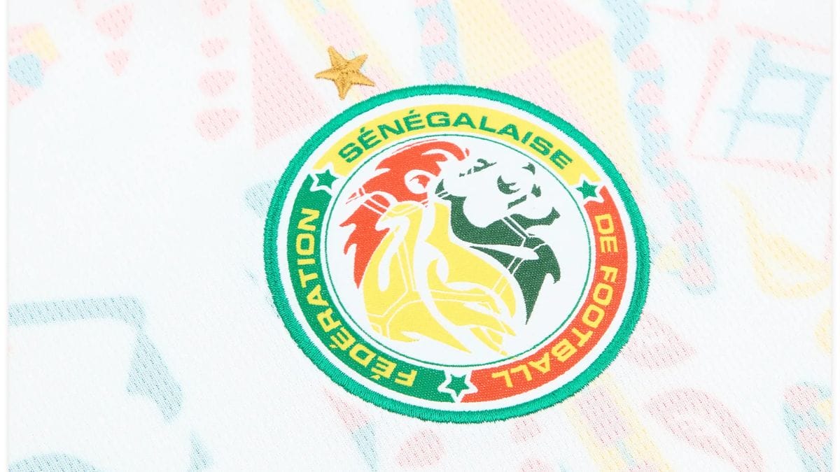 Camisa oficial para o Mundial (Foto: Puma, Divulgação)