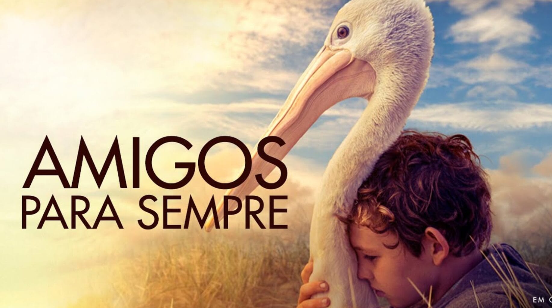 Sess&atilde;o da Tarde &ndash; quinta-feira &ndash; 14_05_2026 &ndash; &ldquo;Amigos para Sempre&rdquo;