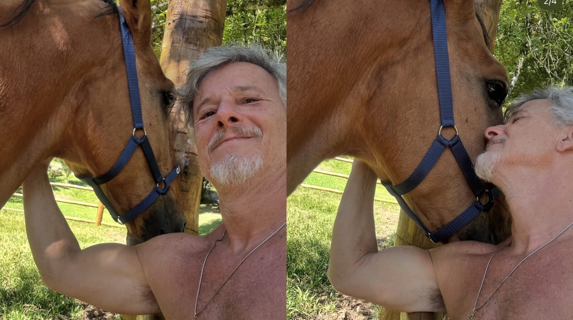 Sítio Casa Marcello Novaes ator 63 anos Max Avenida Brasil