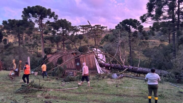 Tempestade que atingiu SC teve sinais de rotação e Defesa Civil ainda investiga tornad