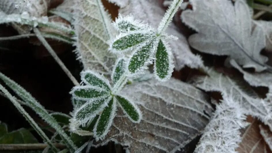Termômetros abaixo de 10°C frio e chuva colocam SC em alerta neste domingo