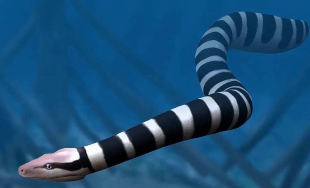 Palaeophis (Imagem: Youtube / The Timeline