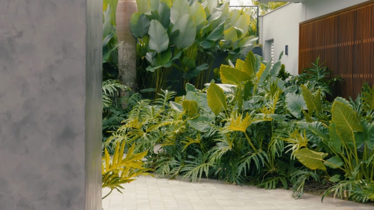 mans&atilde;o da vencedora do BBB 21