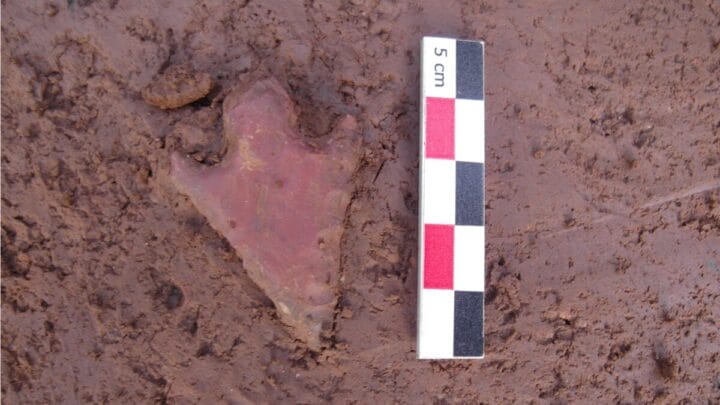 imagem de um vestígio humano de mais de 12 mil anos ao lado de uma régua