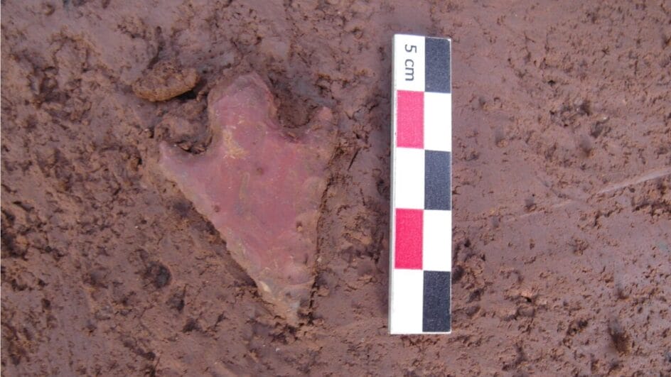 imagem de um vestígio humano de mais de 12 mil anos ao lado de uma régua