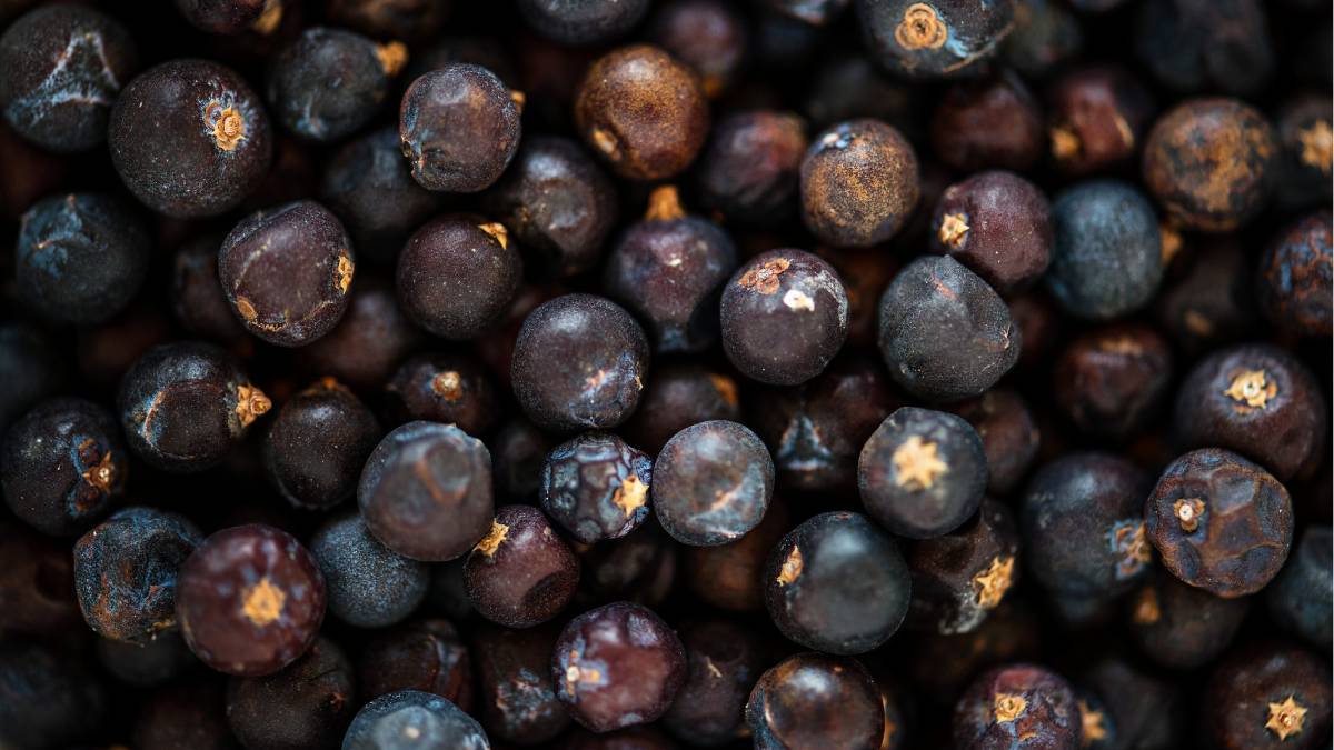  Hoje, &eacute; mais que uma fruta: virou tend&ecirc;ncia e presen&ccedil;a constante no dia a dia (Foto: Magnific)