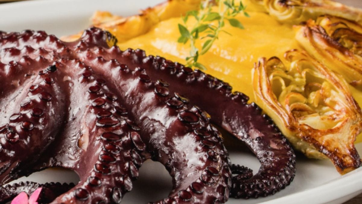 Prato com dois moluscos servidos um ao lado do outro, com ramo de ervas em cima, um na cor vinho e outro na cor amarelo, do Restaurante Lindacap, em restaurantes em Florianópolis.