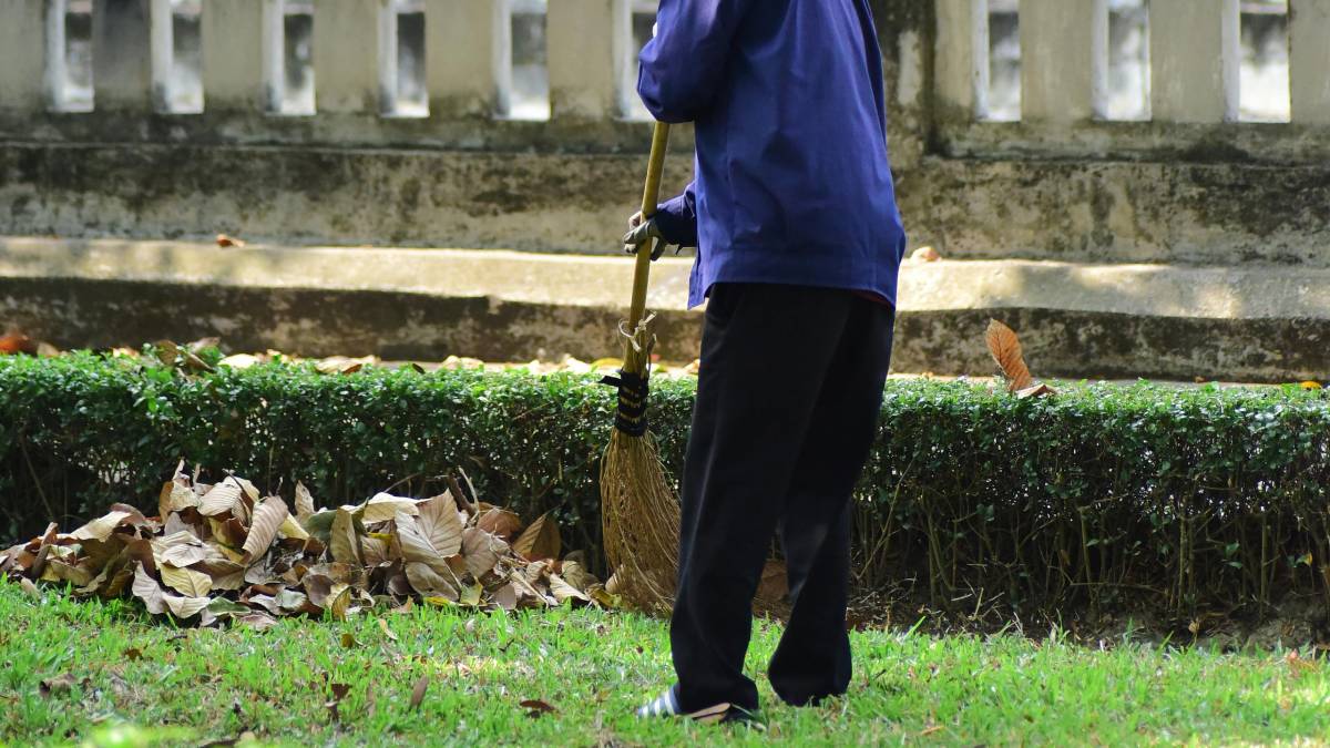 Tudo come&ccedil;a com pequenas frestas, o lugar perfeito para as ervas surgirem (Foto: Pexels)