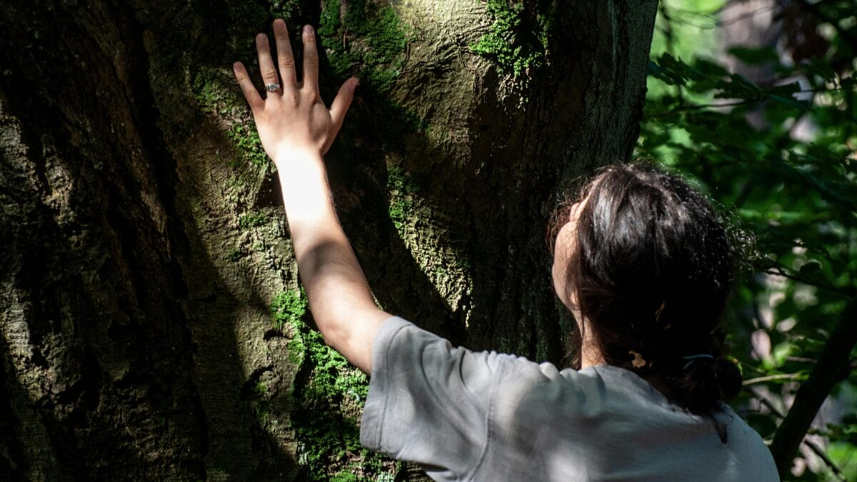 Mulher tocando o tronco de uma árvore em área de floresta iluminada pela luz natural.