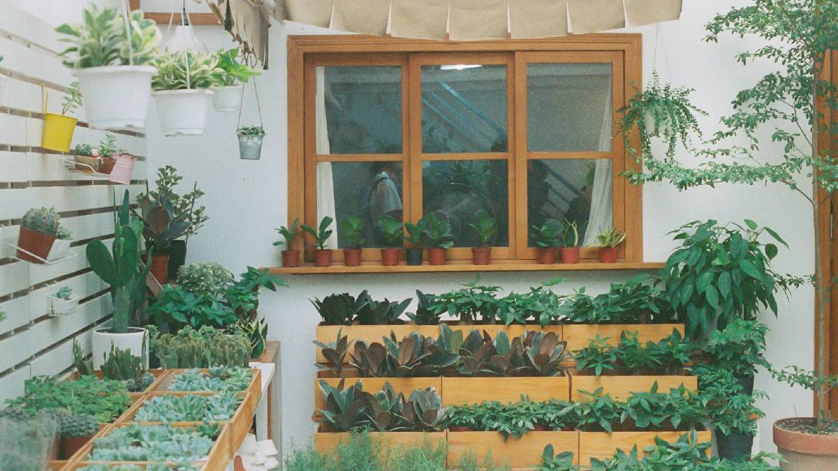  E no equil&iacute;brio entre funcionalidade e um toque mais agrad&aacute;vel na decora&ccedil;&atilde;o (Foto: Pexels)
