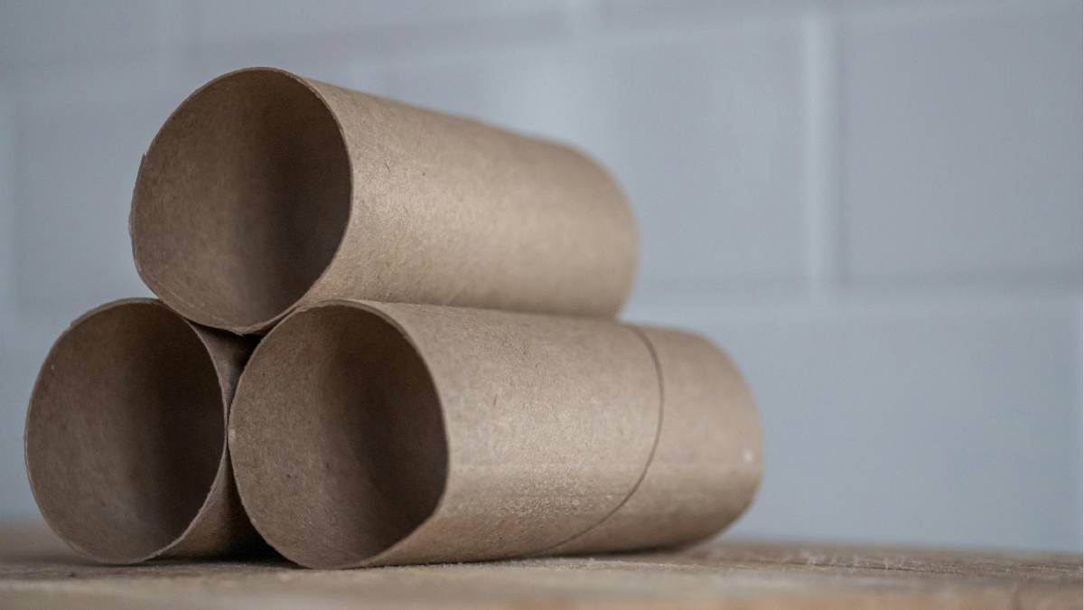 Parece só um tubo de papel higiênico…(Foto: Pexels)