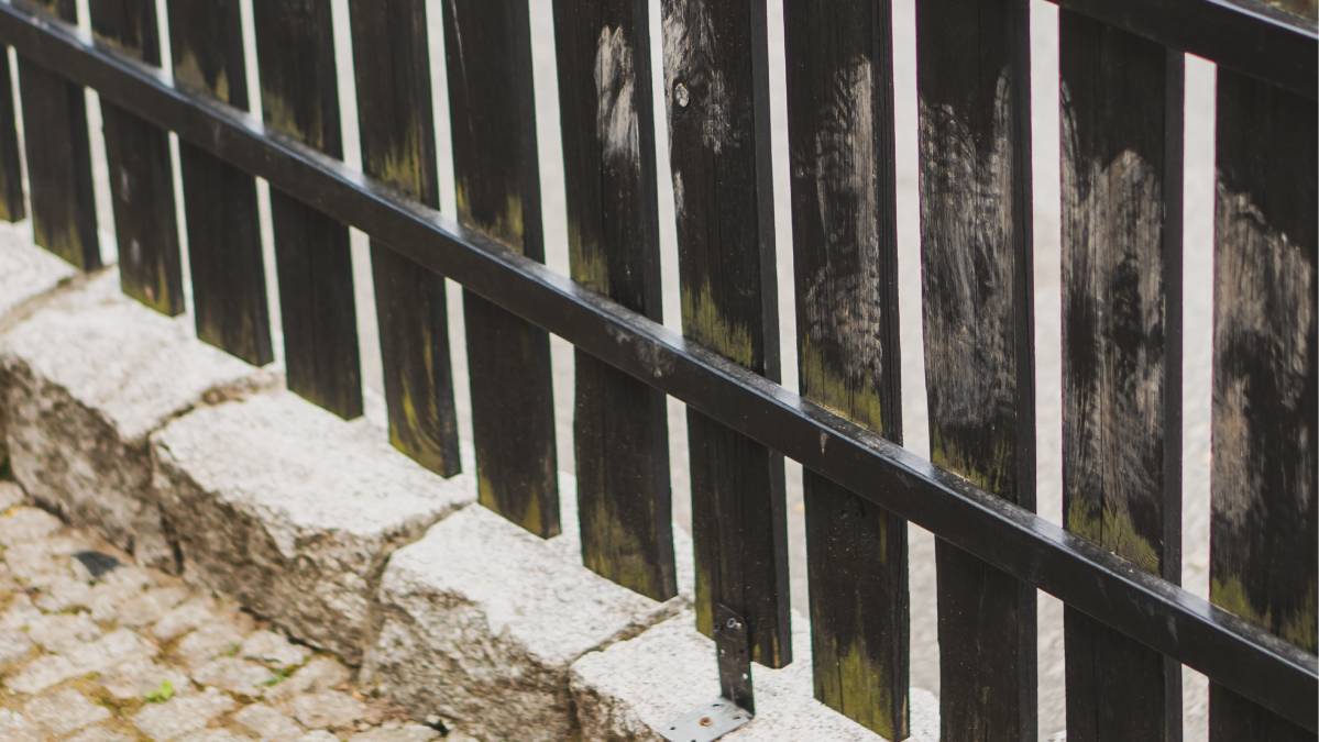 Uma solução simples para um problema comum: o controle de pragas (Foto: Pexels)