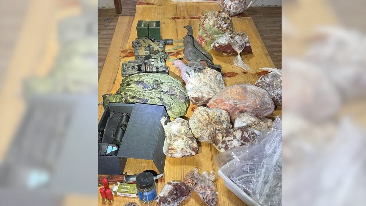 Operação encontra mais de 100 animais silvestres abatidos e arsenal usado para caça em SC