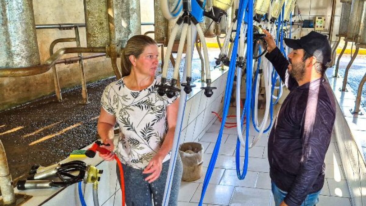 Propriedade em Campos Novos