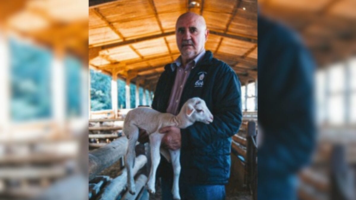 Empresa B&eacute;&eacute; em Chapec&oacute;