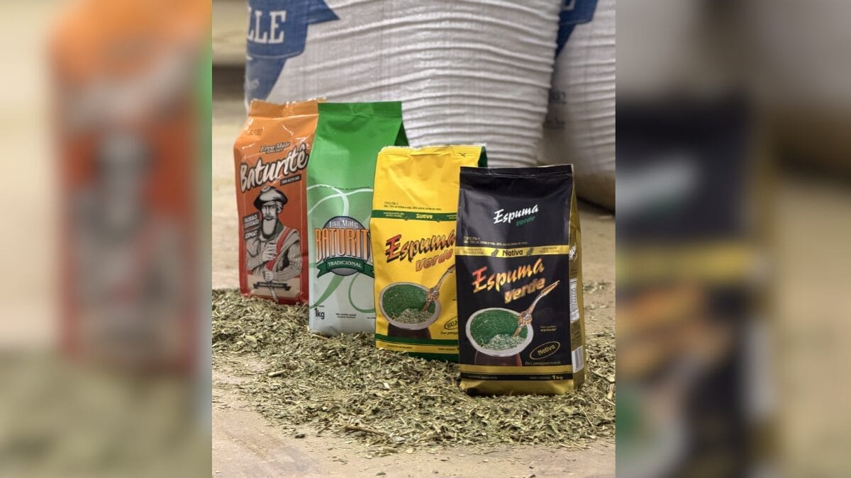 Ervateira de SC ganha prêmio mundial até com produto secreto que nem foi lançado no mercado