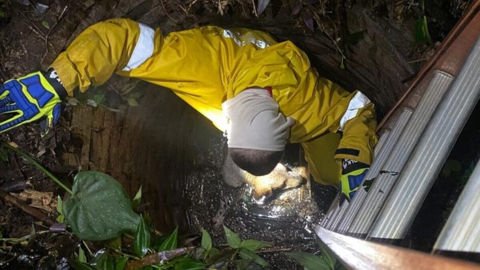 Cachorro com hipotermia é salvo após cair em poço de 4 metros em SC