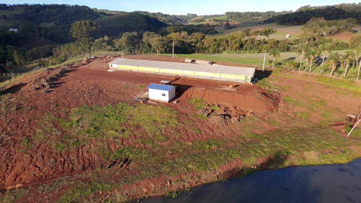 criação comercial de rãs