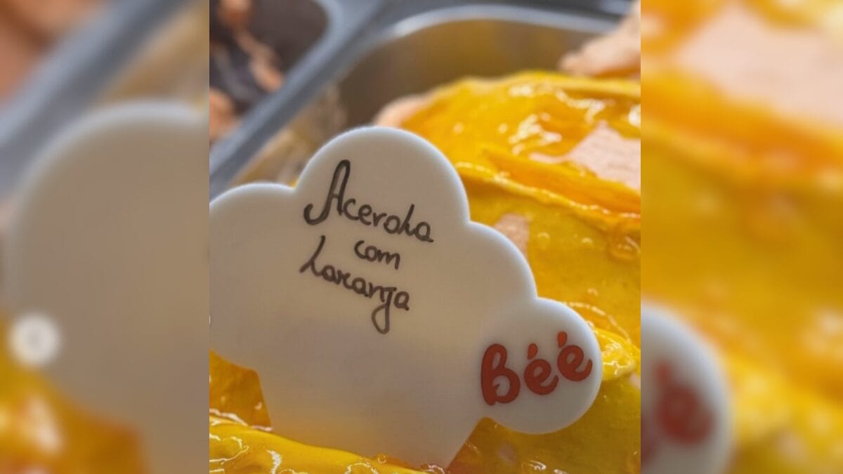 Empresa B&eacute;&eacute; em Chapec&oacute;