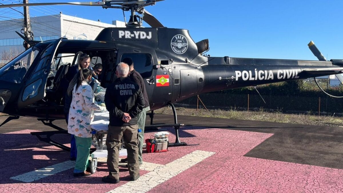 Crian&ccedil;a de 5 anos sofre traumatismo craniano grave ap&oacute;s ser atropelada em frente a escola em SC