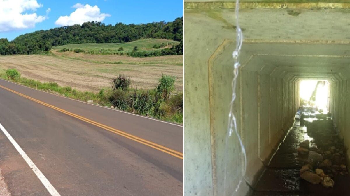 Pavimentação da SC-492, entre os municípios de Romelândia e São Miguel da Boa Vista