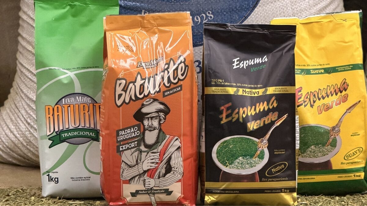 Ervateira de SC ganha prêmio mundial até com produto secreto que nem foi lançado no mercado
