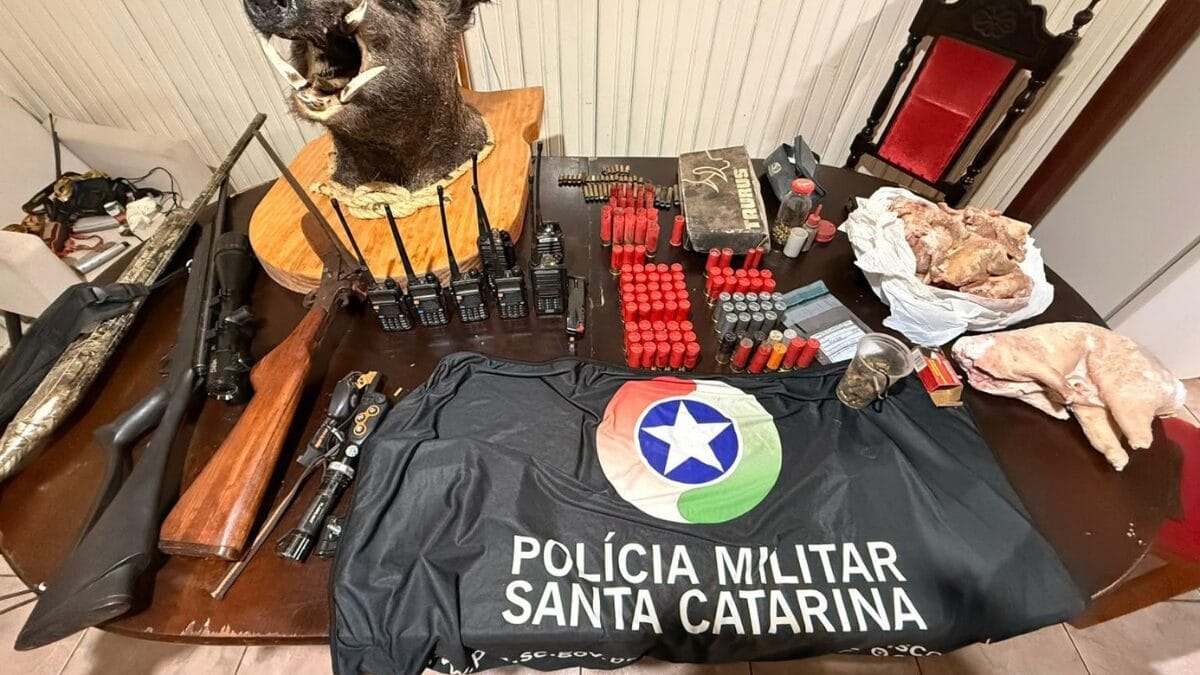 Operação encontra mais de 100 animais silvestres abatidos e arsenal usado para caça em SC