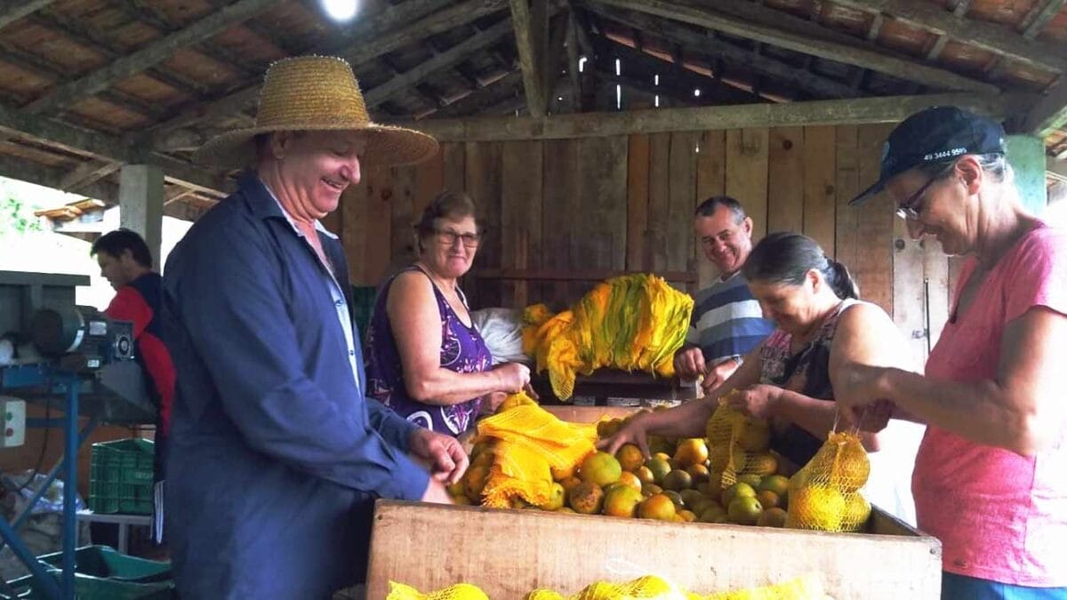 Laranjas