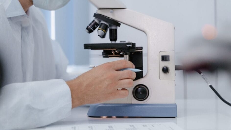 Pesquisa com embriões humanos reacende o debate sobre os limites da edição genética em laboratório. (Foto: Pexels)