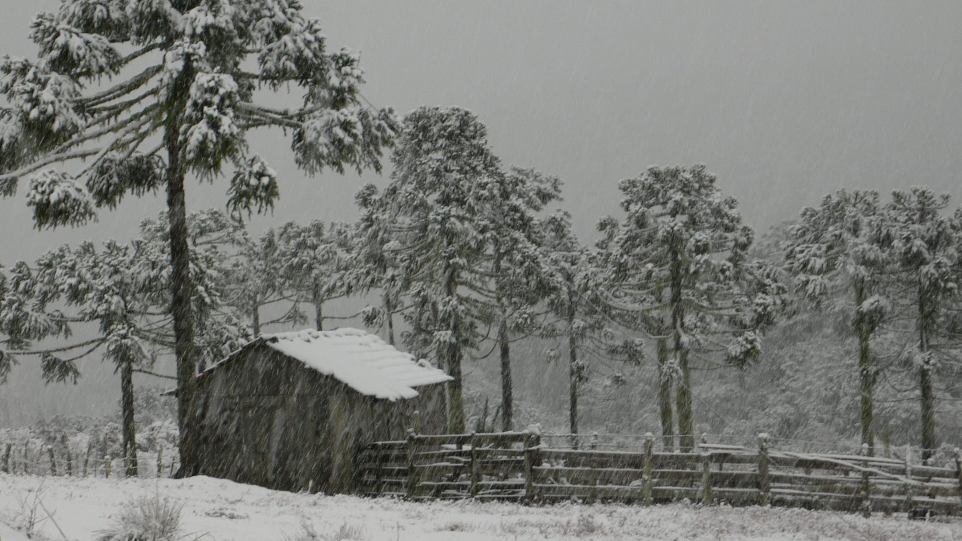 Neve hist&oacute;rica em SC