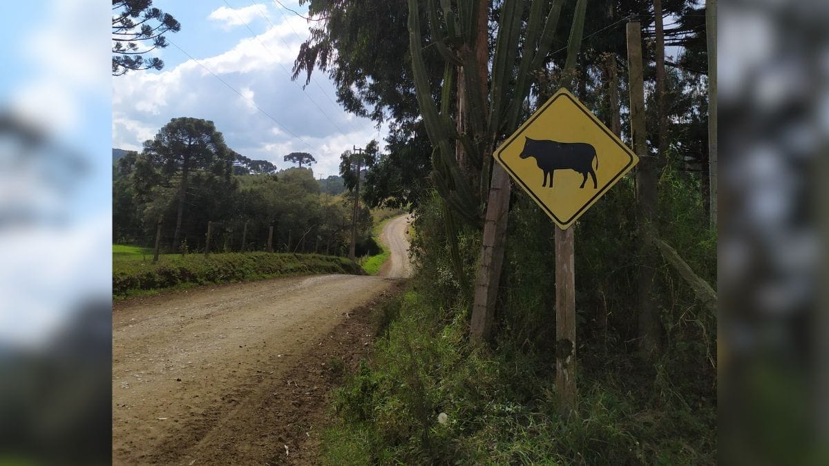 Rio Negrinho