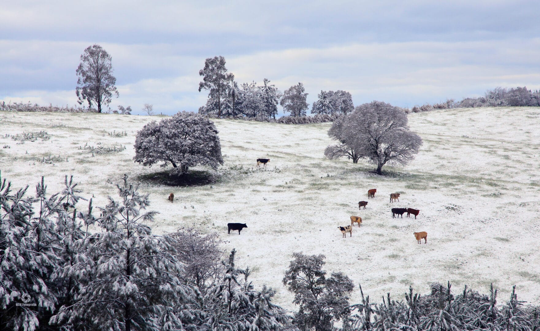 Neve hist&oacute;rica em SC