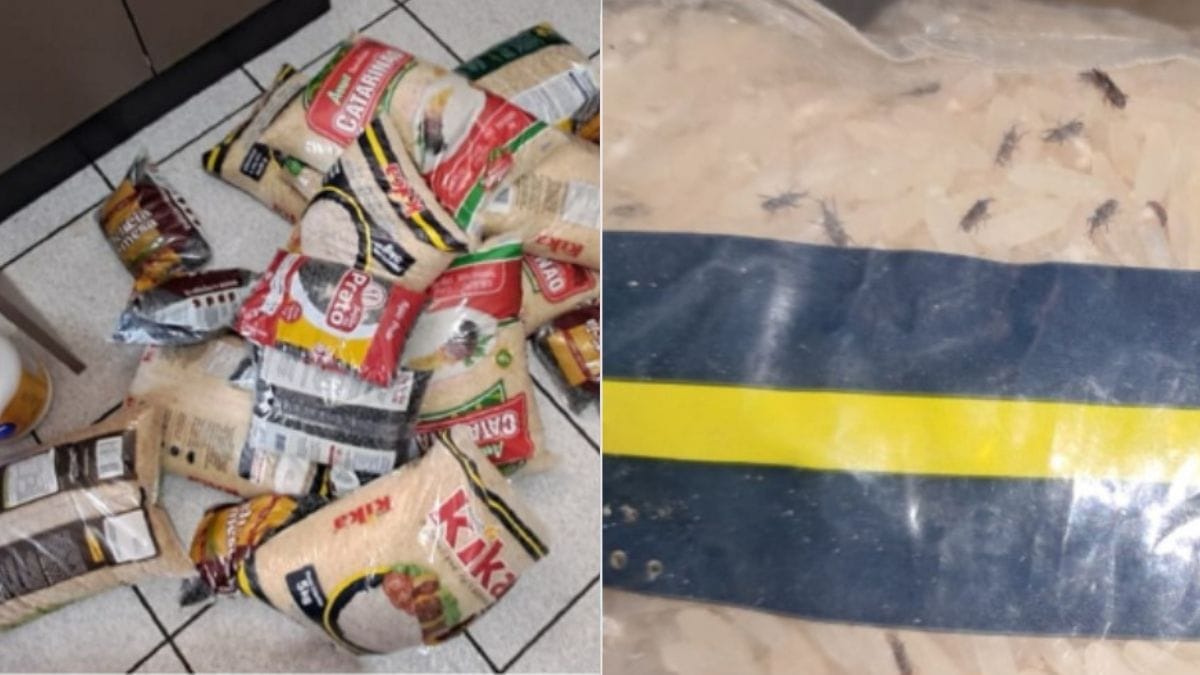 Foto de alimento encontrados no lar de idosos em Joinville