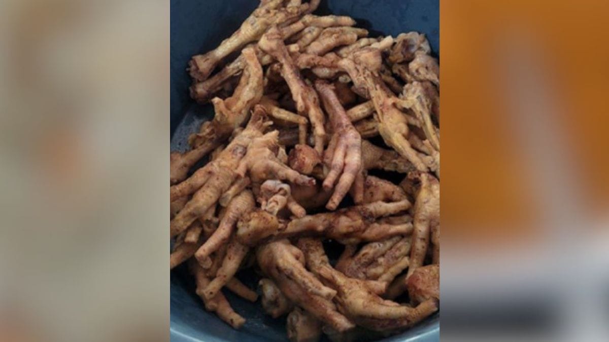 Foto de p&eacute;s de galinha encontrados no lar de idosos