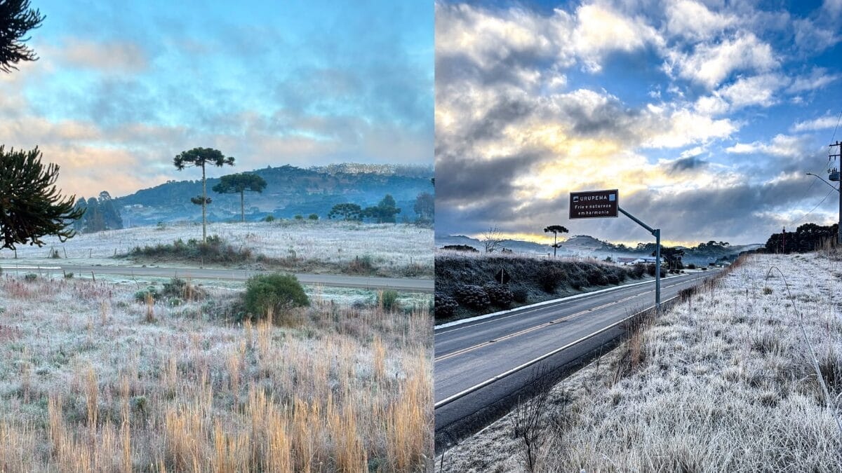paisagens cobertas de geada
