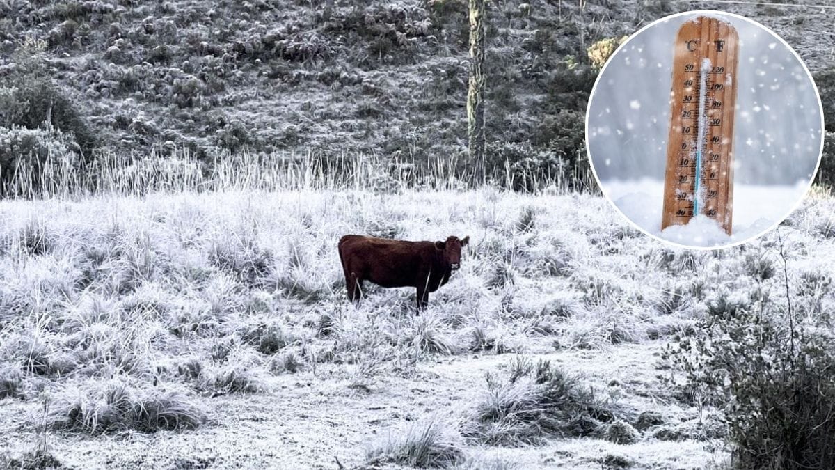 Nova massa de ar polar vai congelar a região mais fria do Brasil a -5°C após ciclone