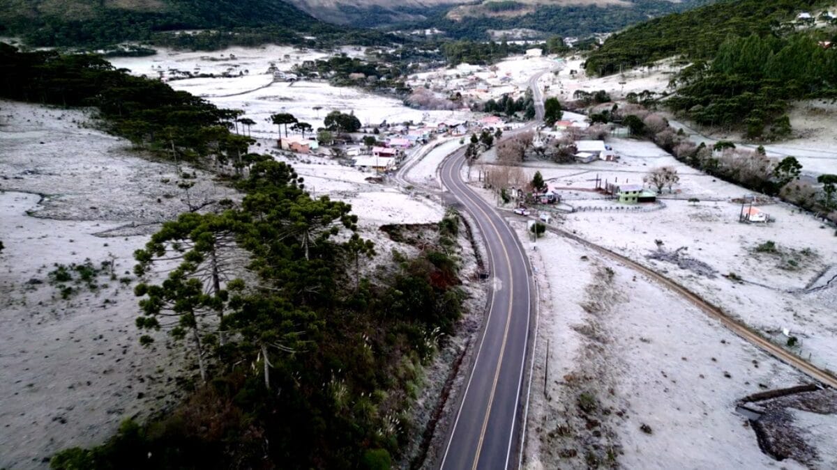 paisagem coberta de geada