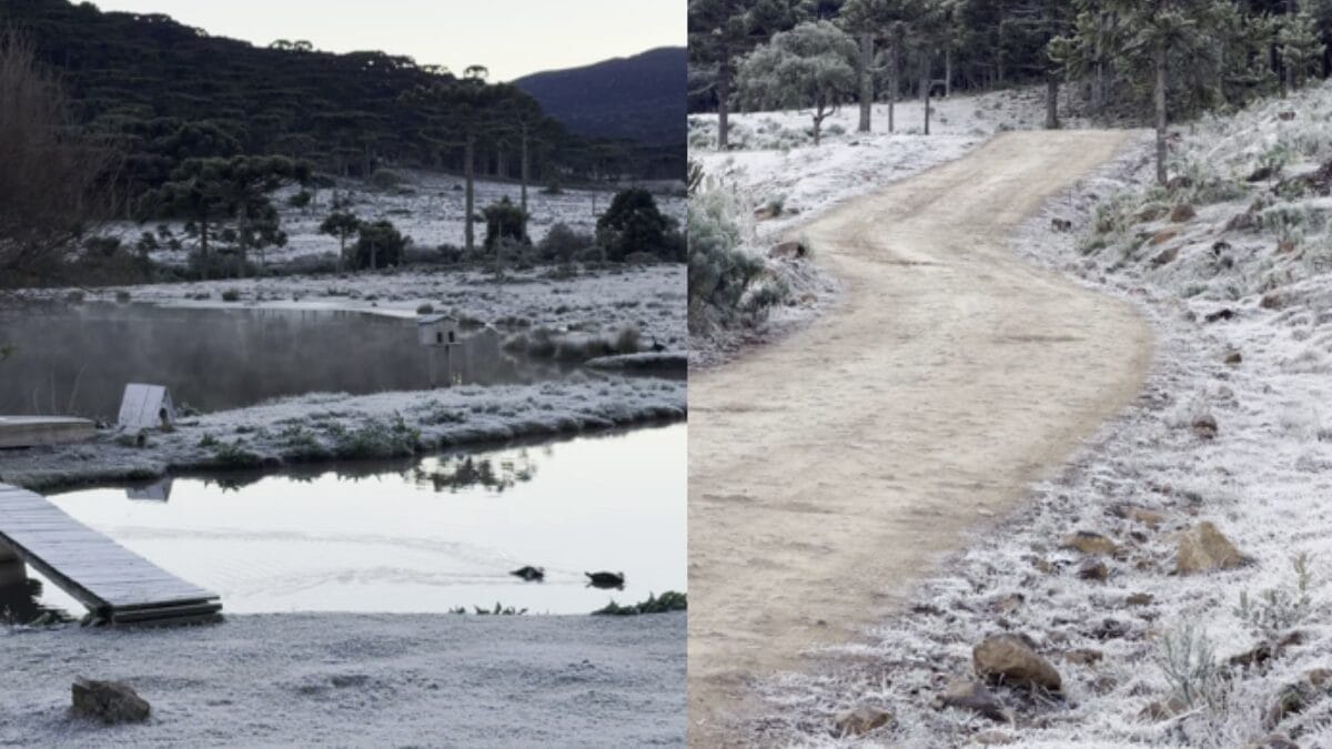 paisagem coberta de geada