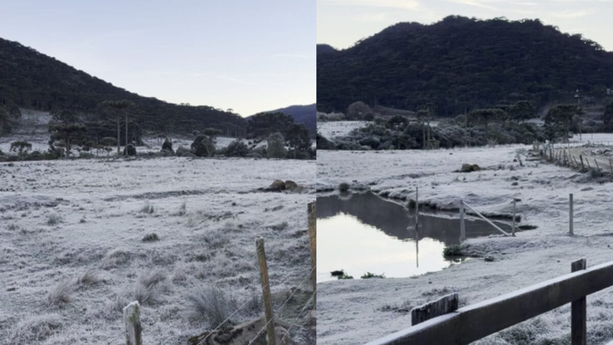 paisagem coberta de geada