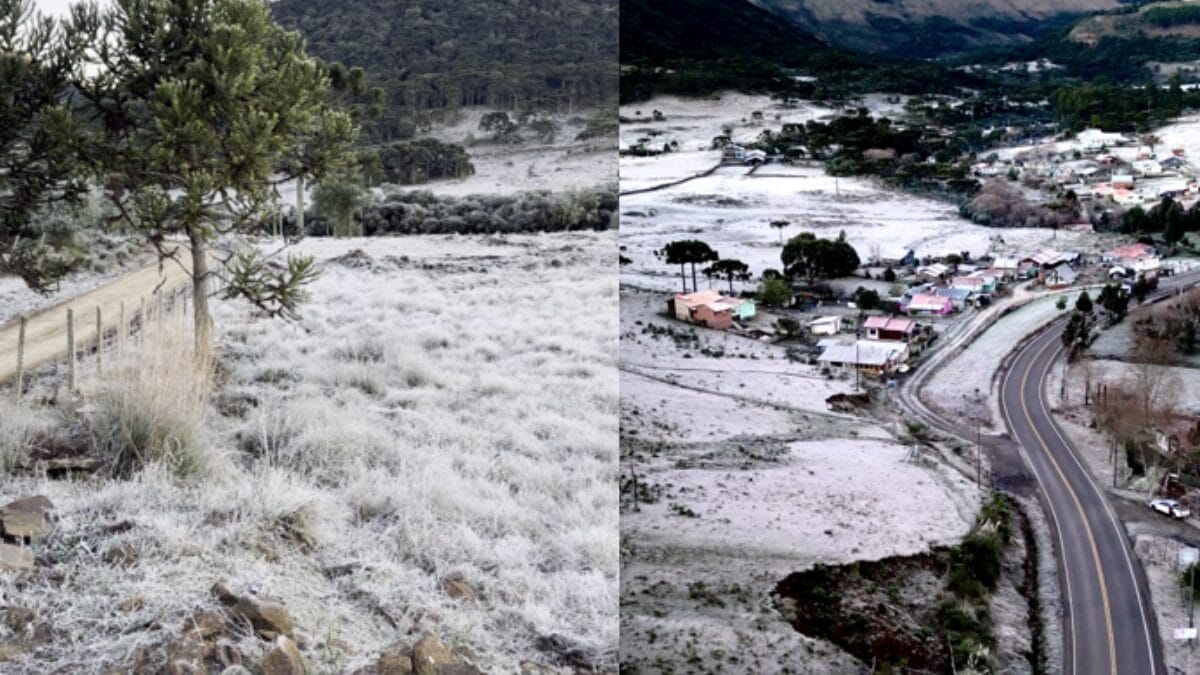 paisagem coberta de geada