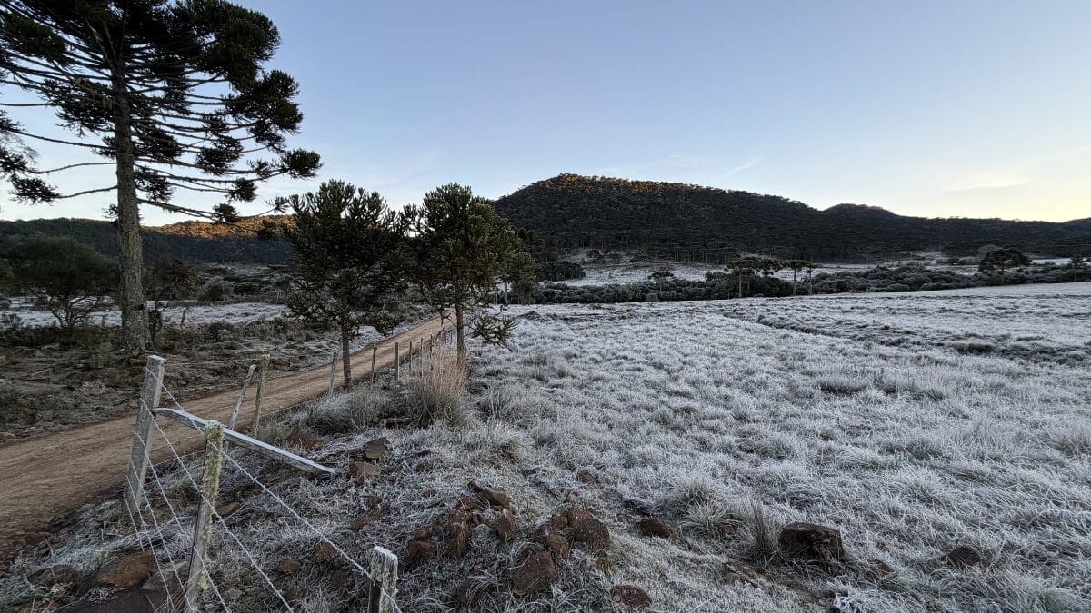 paisagem coberta de geada