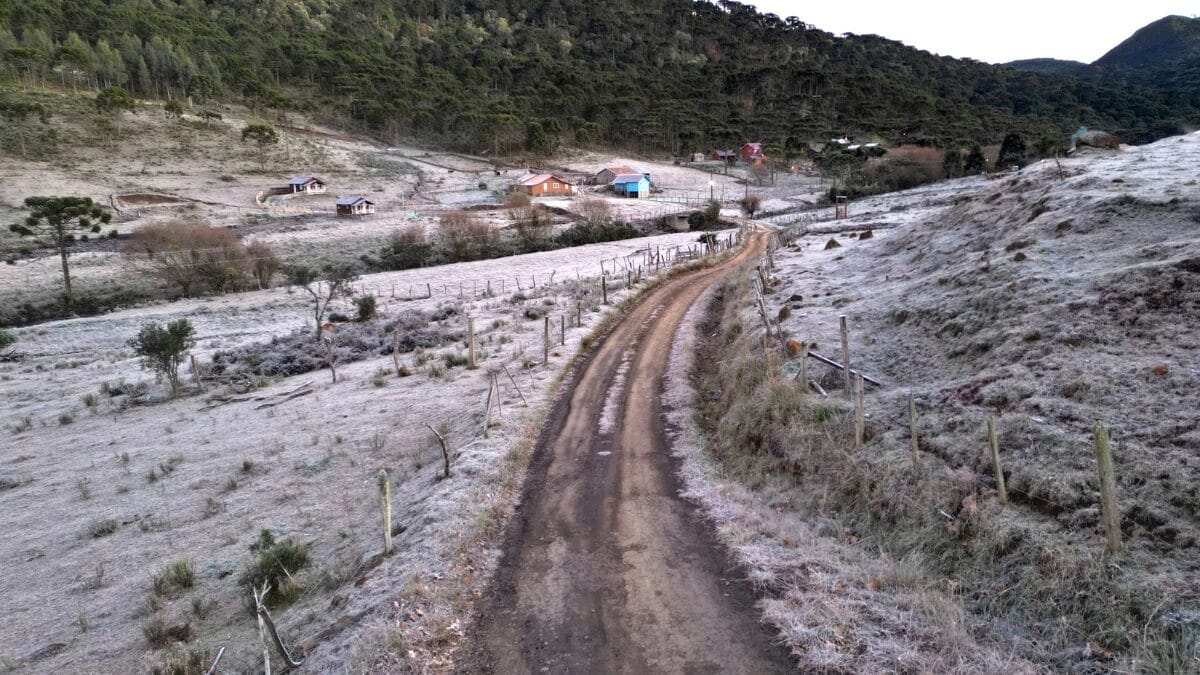paisagem coberta de geada