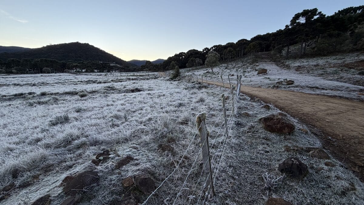 paisagem coberta de geada