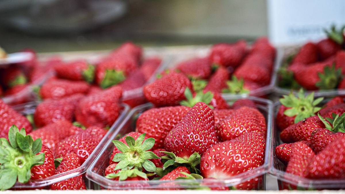 A alta produtividade do município mineiro é sustentada pelo uso de tecnologia de ponta e condições climáticas ideais para o cultivo da fruta (Imagem: Pexels)