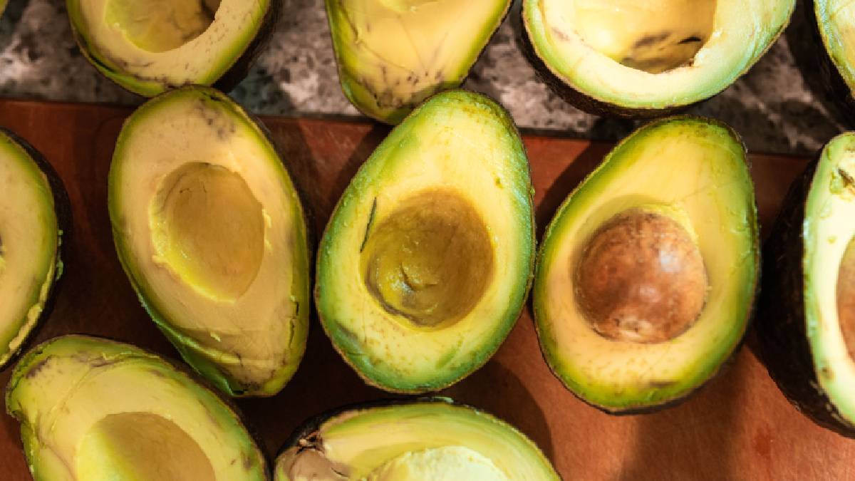 O abacate &eacute; um dos alimentos mais nutritivos da natureza; ap&oacute;s retirar a polpa para consumo, a casca grossa pode ser transformada em adubo caseiro ou minivasos tempor&aacute;rios para mudas (Imagem: Magnific)