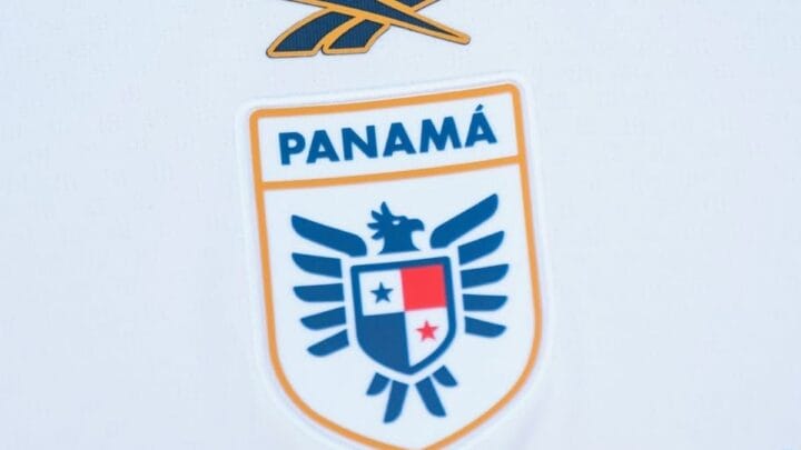 Camisa oficial para o Mundial (Foto: Reebok, Divulgação)